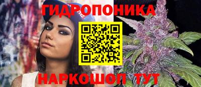 молекула духа Бузулук