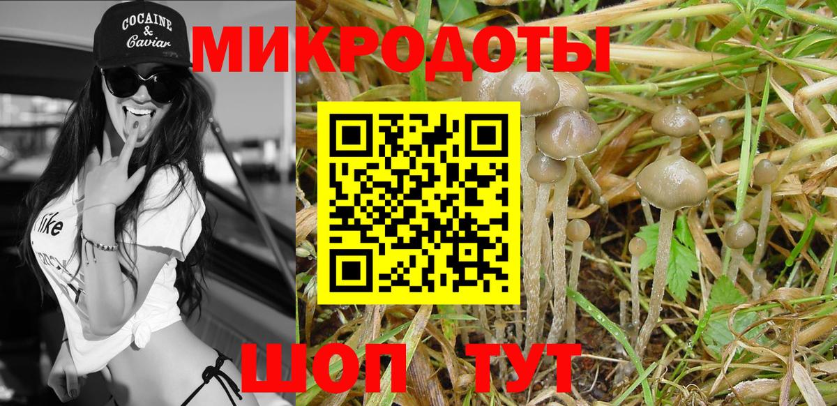 Туймазы  Галлюциногенные грибы Cubensis  Вход с VPN 